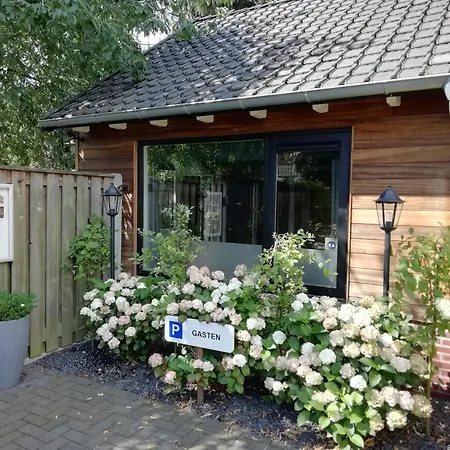 B & B Chawe-2